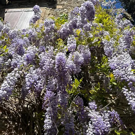 Ostal De La Croix Hébergement de vacances Vieussan